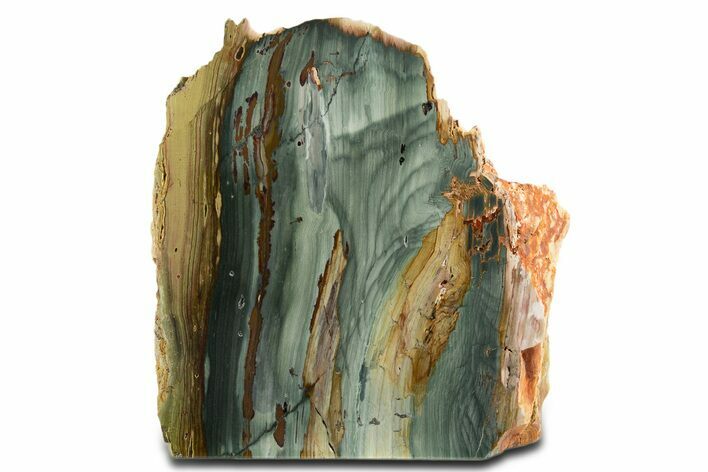 Free-Standing, Gary Green Jasper (Larsonite) Bog Wood - Oregon #334795